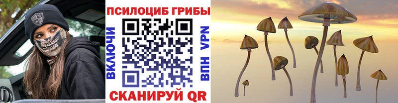 Галлюциногенные грибы мухоморы  Купить  Баймак 